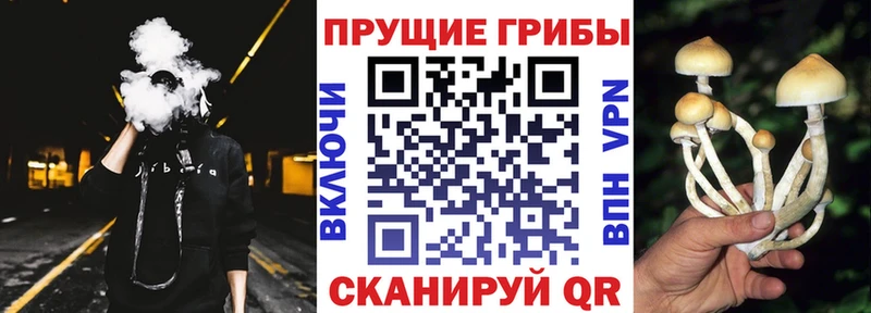Псилоцибиновые грибы ЛСД  Анива 